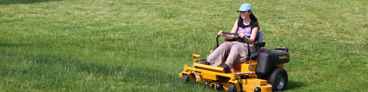 Read more about the article The Right Mower For Your Yard